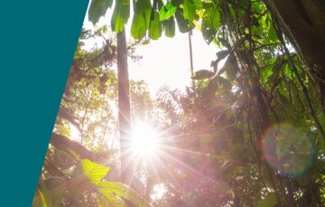 Beurer „Green Planet": naša prvá udržateľná séria produktov